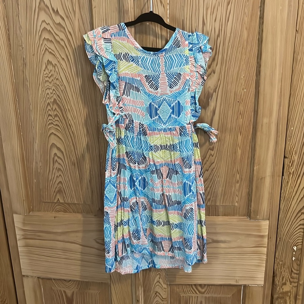 Anthem of the ants print dress